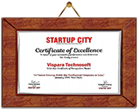 vispara Best erp certificate